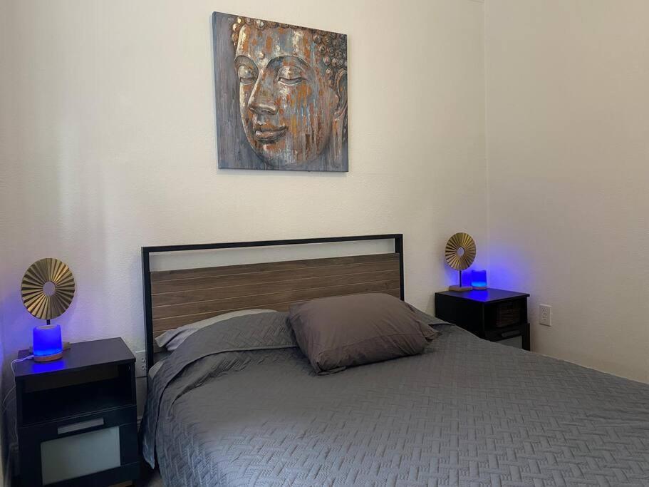 Contemporary 1-Bedroom Private Bungalow Walk To Armature & Riverwalk Tampa Exterior foto